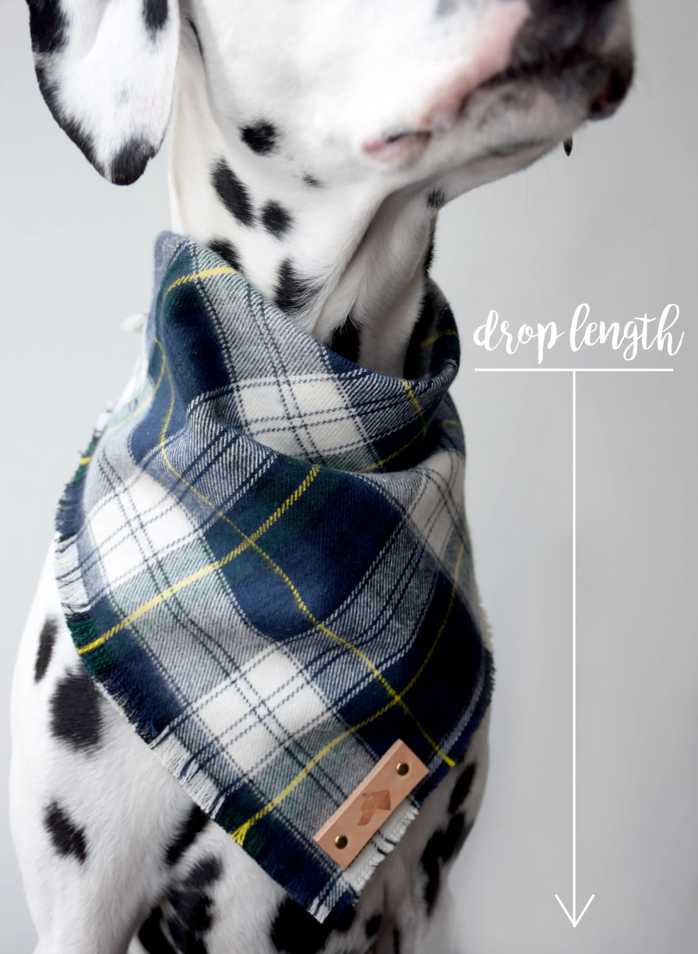 CAPITAL Fringed Flannel Dog Bandana - Snap/Tie On Cotton Scarf