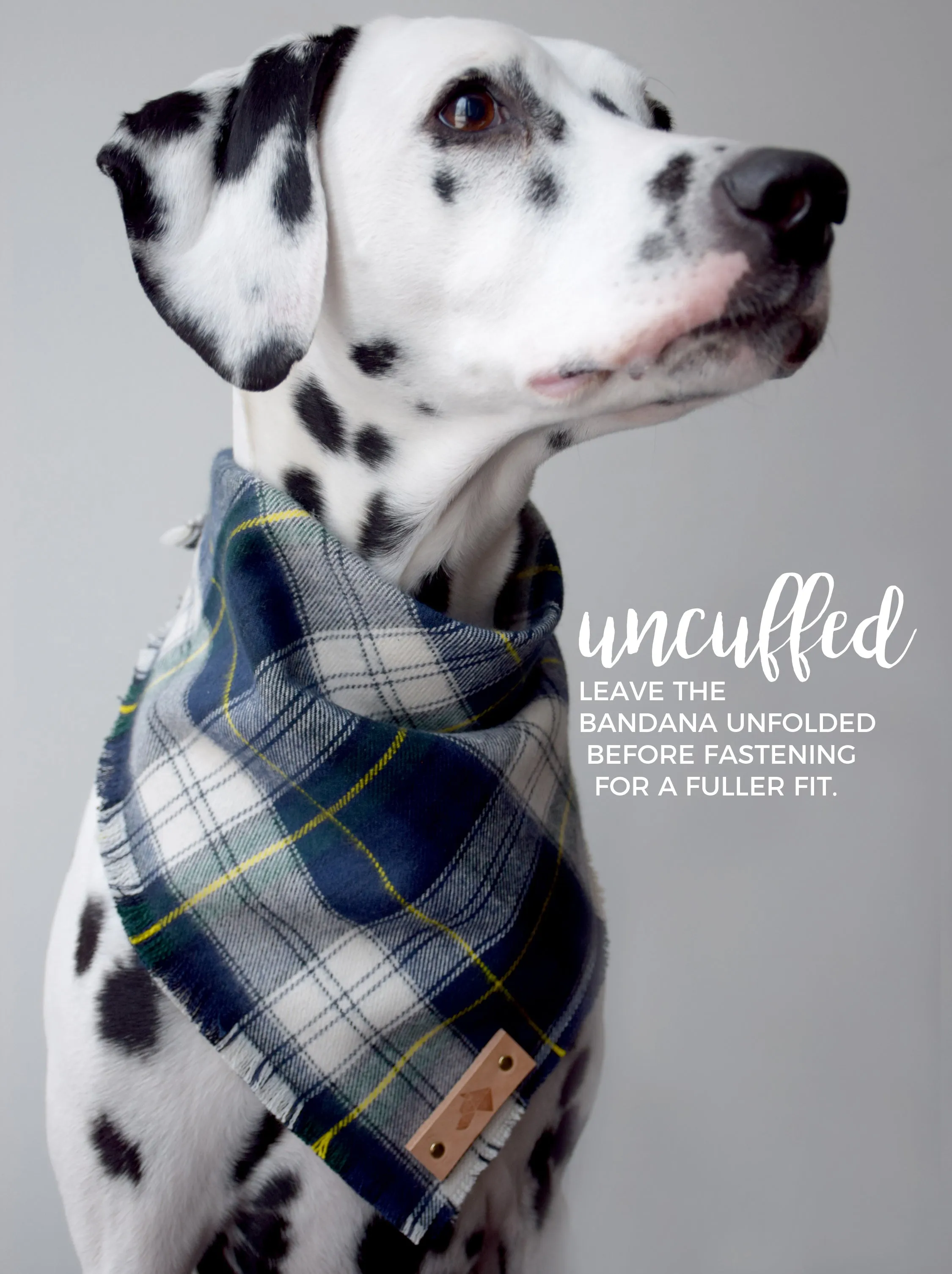 CAPITAL Fringed Flannel Dog Bandana - Snap/Tie On Cotton Scarf