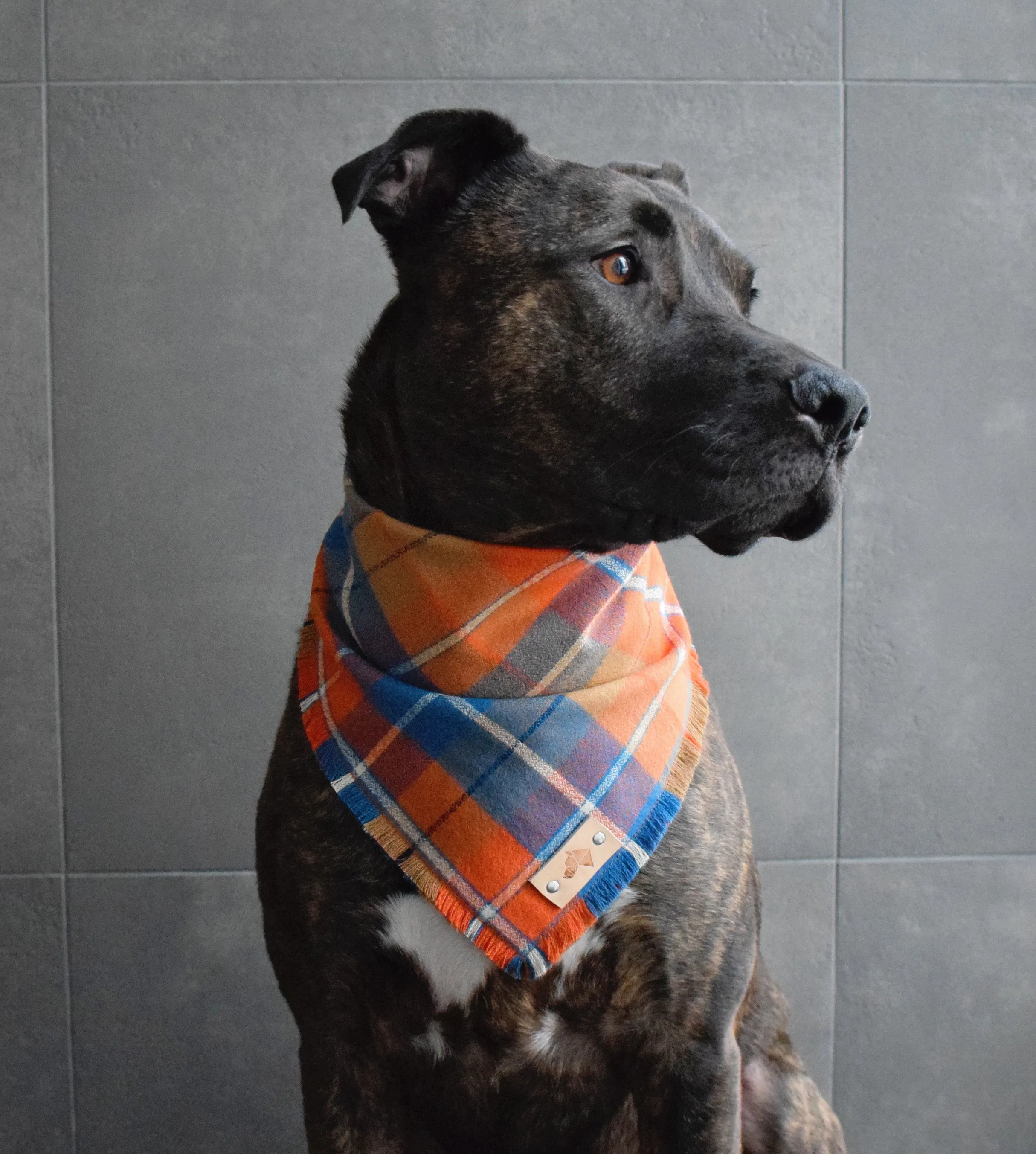 CAPITAL Fringed Flannel Dog Bandana - Snap/Tie On Cotton Scarf