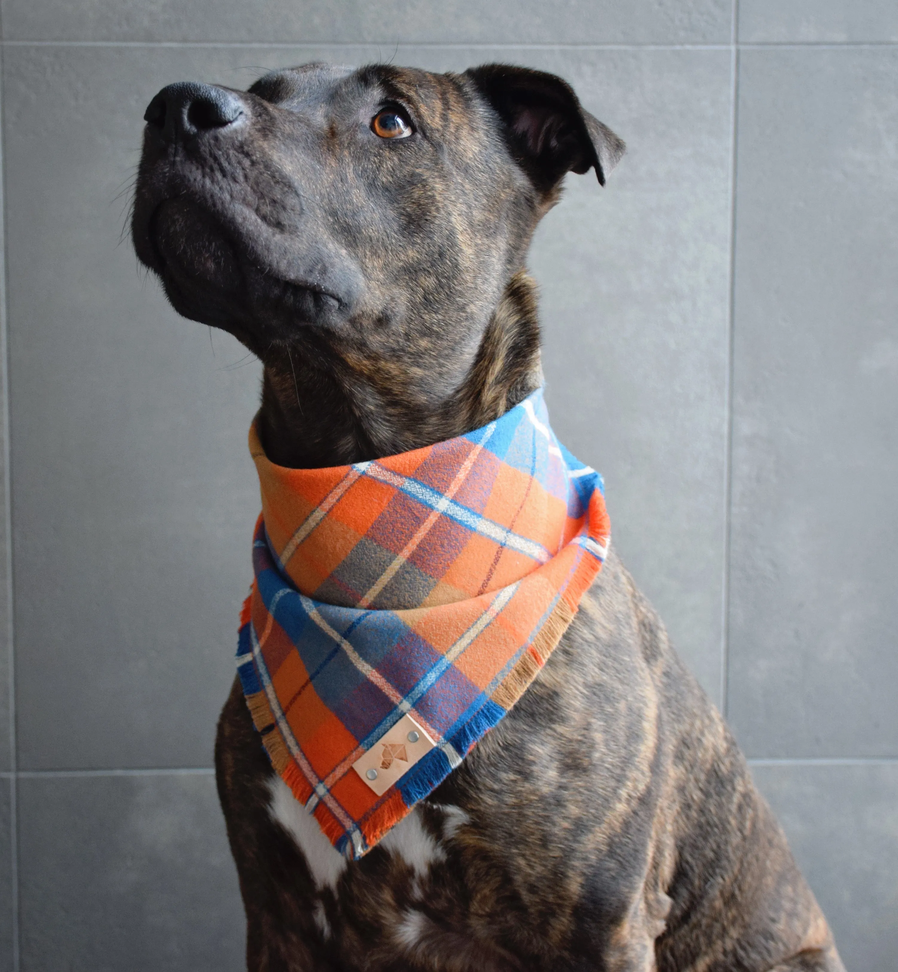 CAPITAL Fringed Flannel Dog Bandana - Snap/Tie On Cotton Scarf