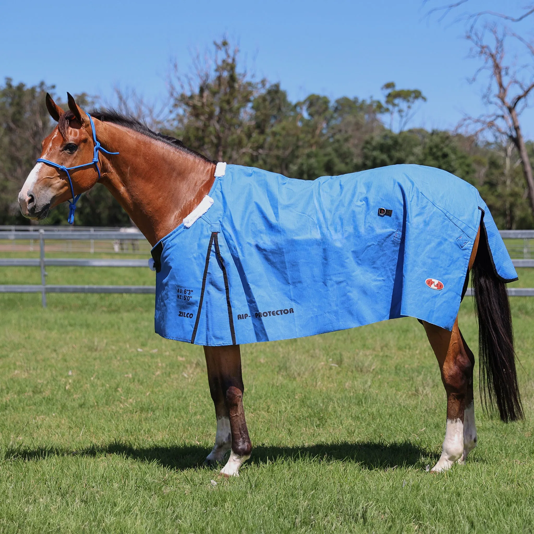 Rip Protector Canvas Rug