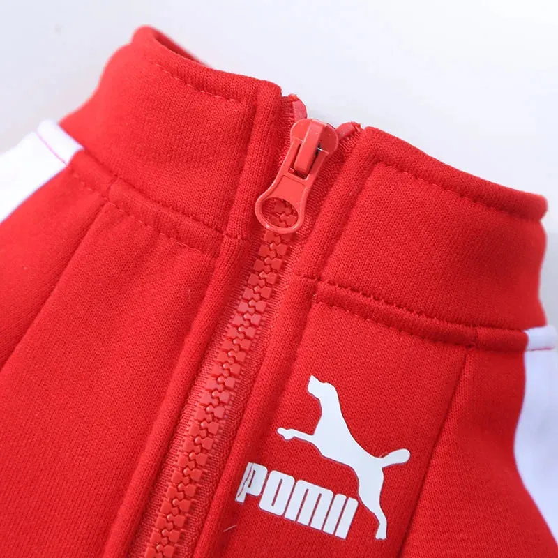 Sportive Dog Jacket